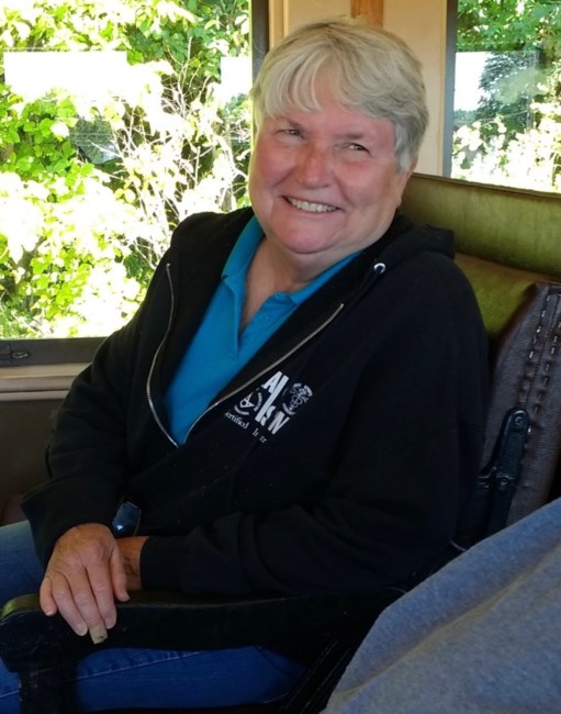 Obituary of Cheri Lee Krell-Morris