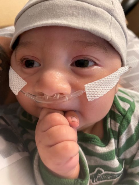 Obituary of Hayden Bryan Whitehurst