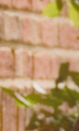 Mark Ransom Obituary - Raleigh, NC