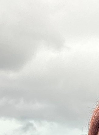 Rachel Rice Obituary - Franklin, OH