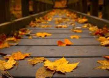 Obituary of James Daniel Sheppard