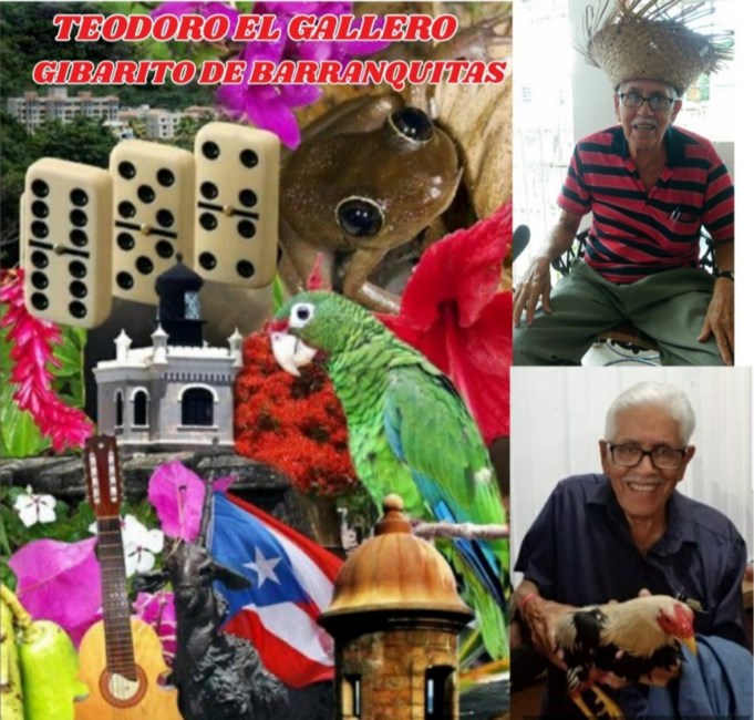 Obituario de Teodoro "Teo" Rivera Torres