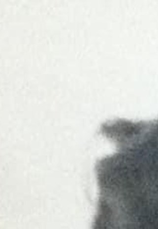 Patsy Delany Obituary - Houston, TX