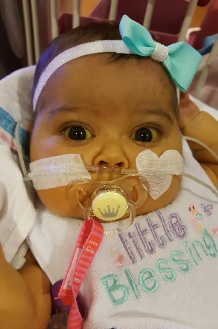 Obituary of Raelynn R Lee