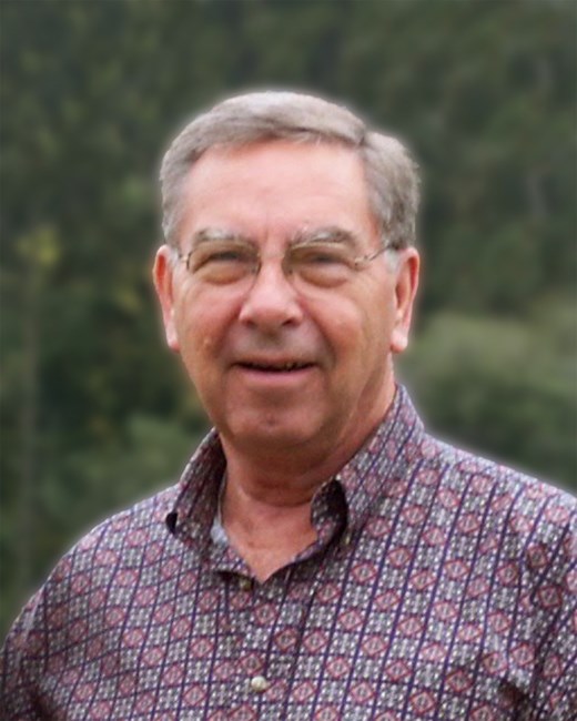 Obituary of Dale Irving Schelin