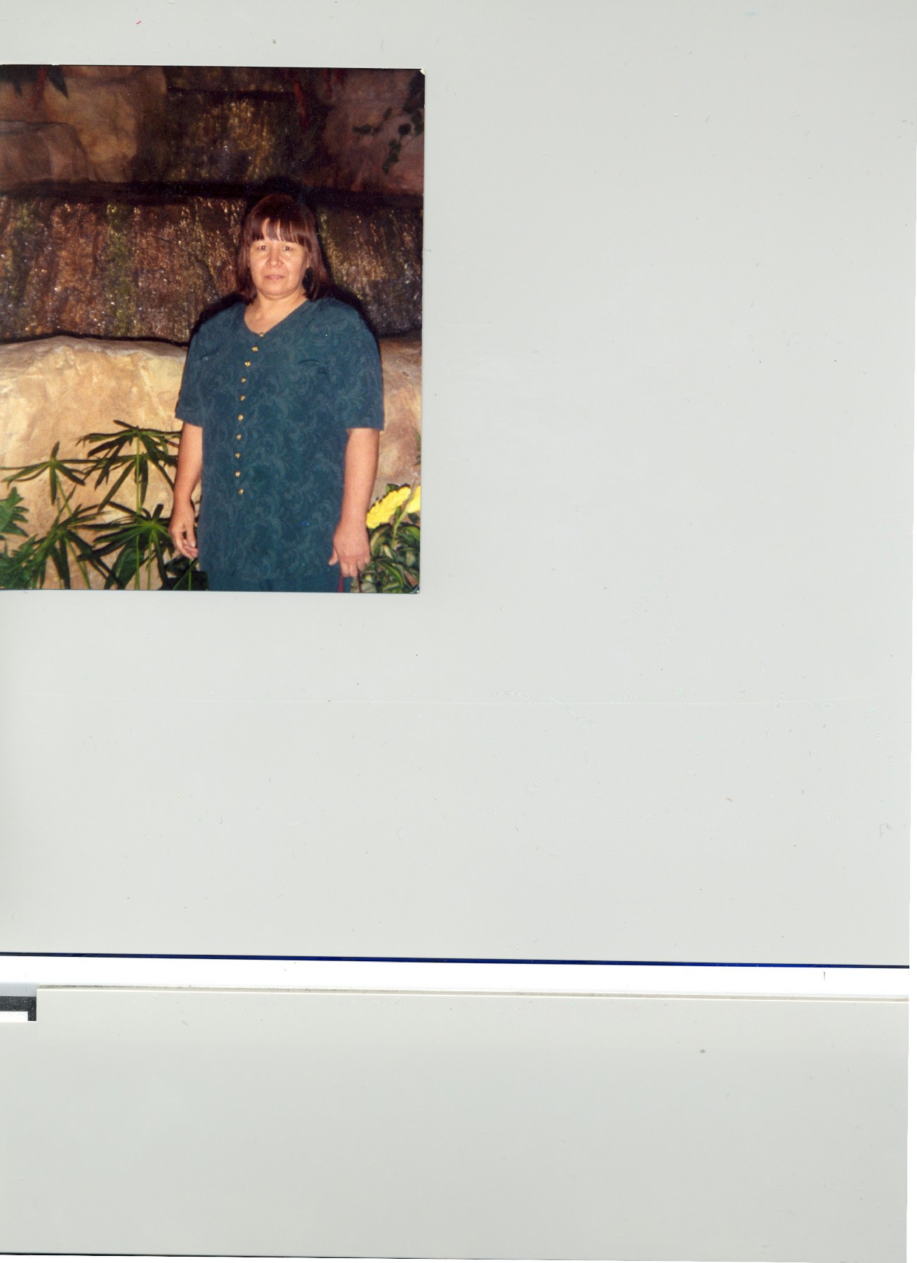 Obituary of Maria Delfina Guajardo