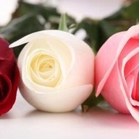 Obituary of Joyce Kathleen Nation