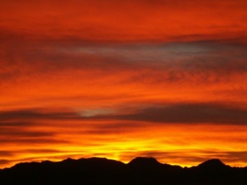 Obituary of David Lee Roe