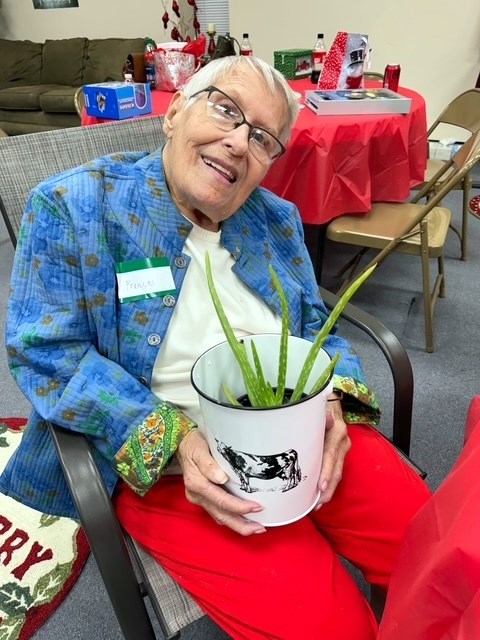 Obituary of Mrs. Frances Idell (Godwin) Bloodsworth