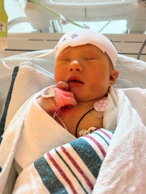 Obituary of Scarlett Ellen Clever