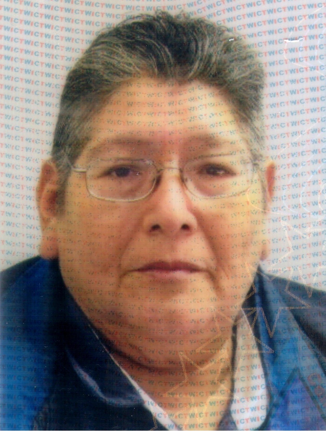 Ernest Garza Obituary - Houston, TX