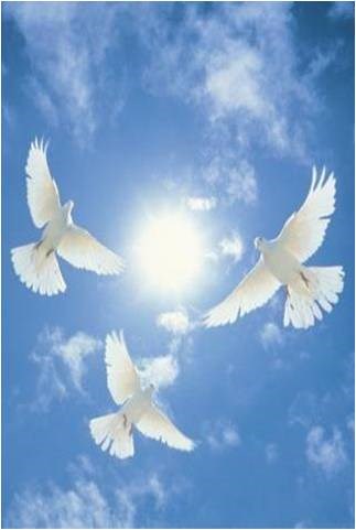 Obituary of Alice Broussard