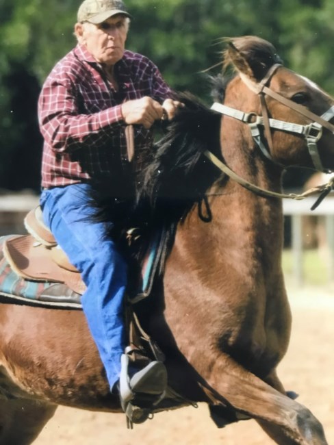 Obituary of Donald L Strait