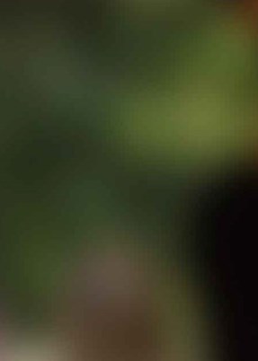 Thomas Busbee Thomas Busbee Obituary - Burnet, TX