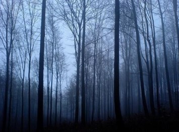 Obituary of Ronald Sears