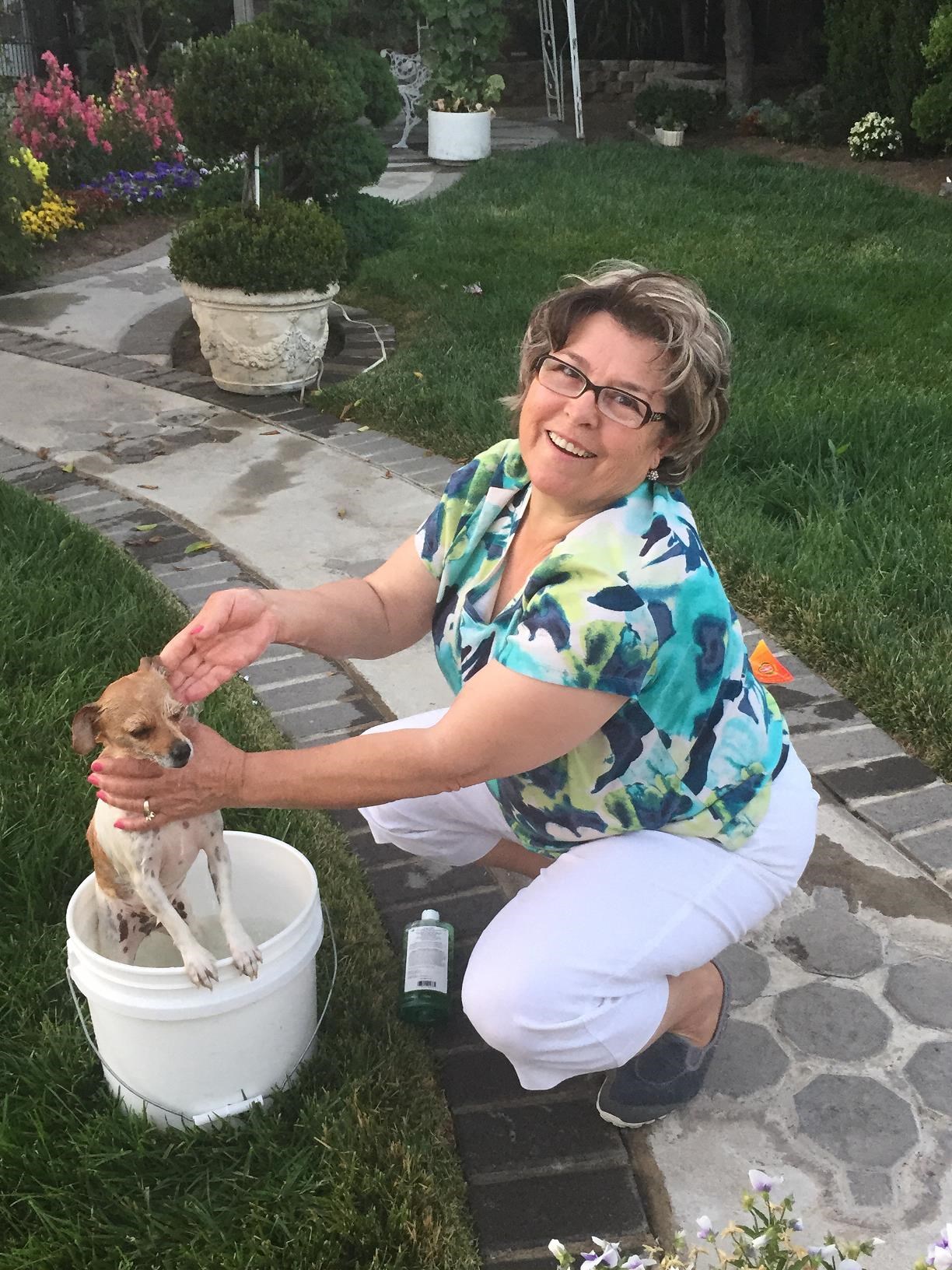 Obituary of Maria Concepcion De La Mora De Velazquez