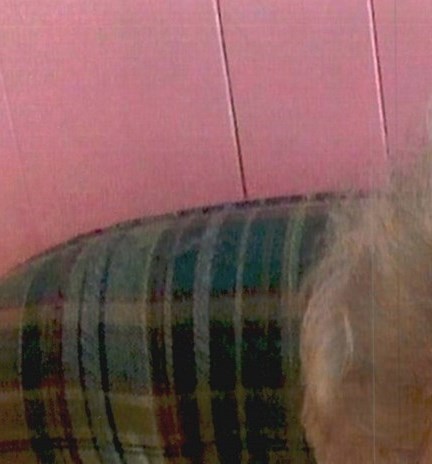 Hazel M. Roper Obituary - Birmingham, AL