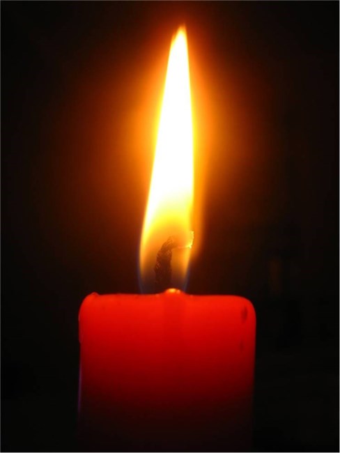 Obituary of Sophie Kathryn Stratton