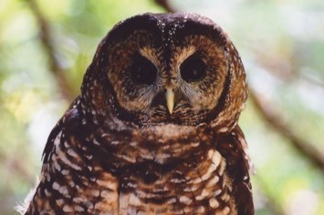 Avis de décès de Casey Ann Hodge