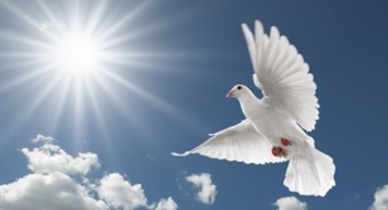 Obituary of John Bernard Vandine