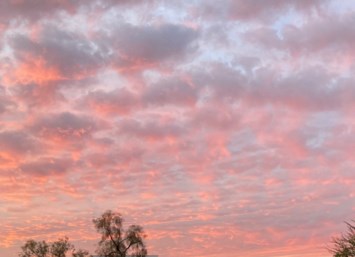 Obituary of Velma Jean Evans