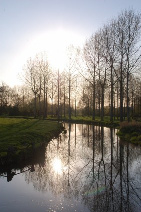 Obituary of Garland Reginald Sturdivant