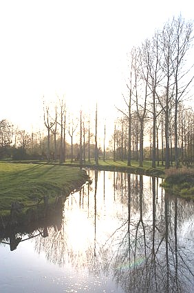 Obituary of Garland Reginald Sturdivant