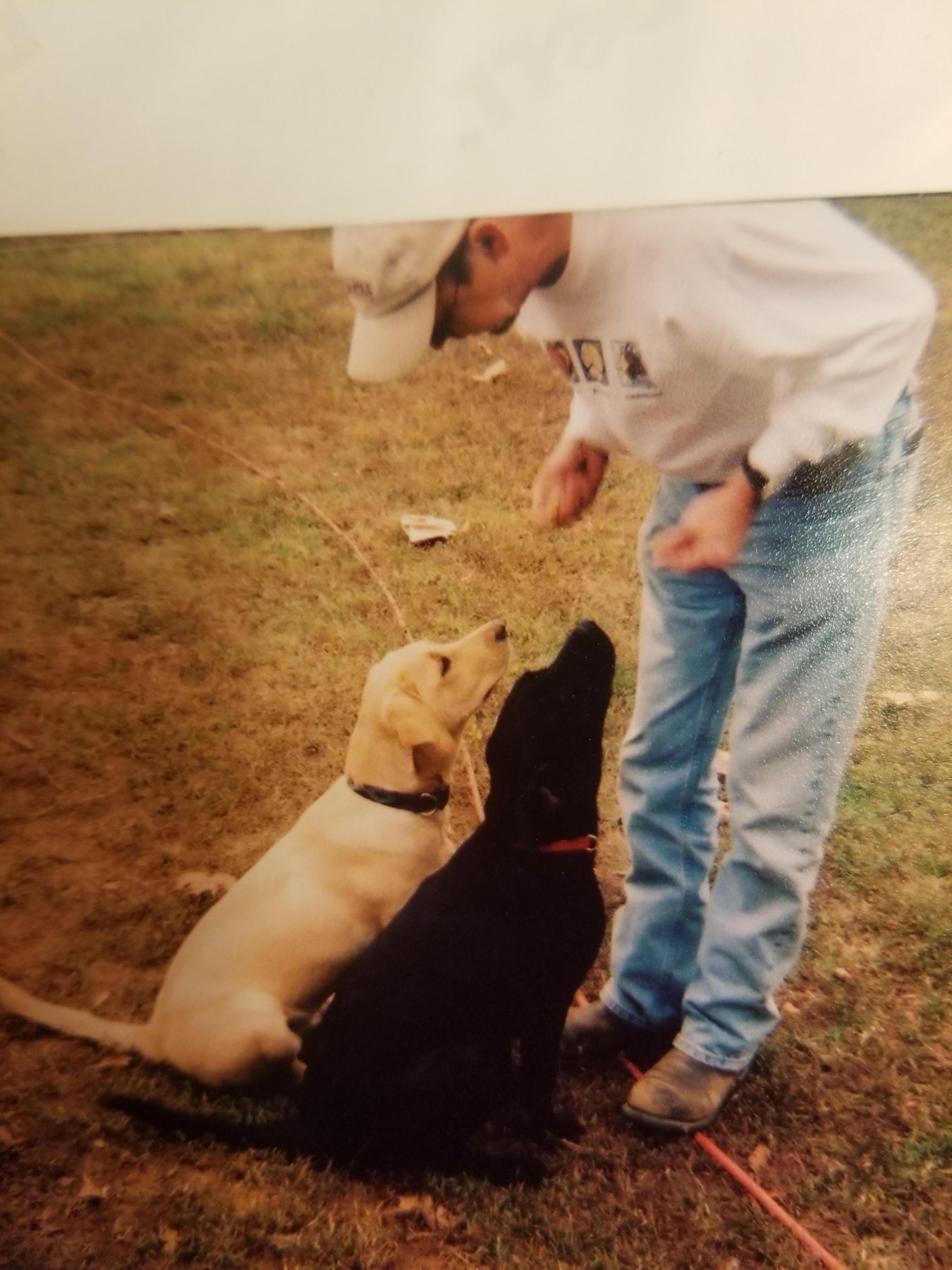 Obituary of Wayne Davis