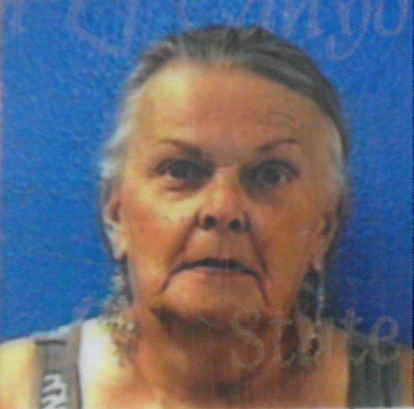 Obituary of Bonnie Ann Palmer