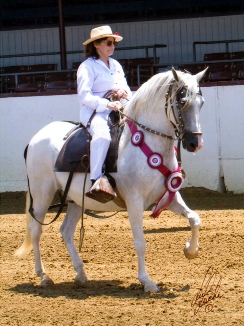 Obituary of Rosie Marie Heffley