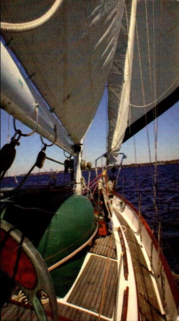 Obituary of Robert Shannon Doty