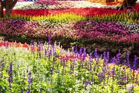 Obituary of Pamela Suezette Bates