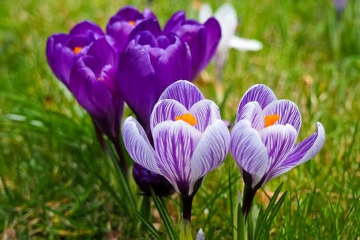 Obituary of Phyllis Y Hampton Banon