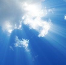 Obituary of Linda Grenman