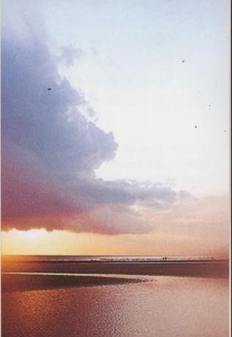 Obituary of Gaspar Manuel Herrera