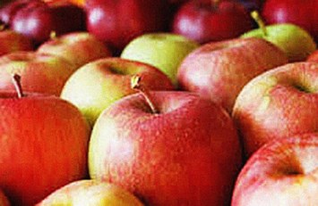 Obituary of Robert Bertram Clark