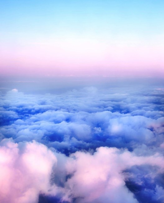 Obituary of Gloria Sanchez Ayala