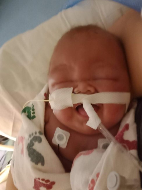 Obituary of Amado Salvador Hernandez