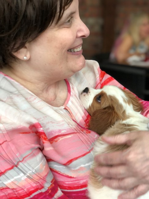 Obituary of Kathy Lou Drescher