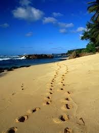 Obituary of Donald F. Hoster