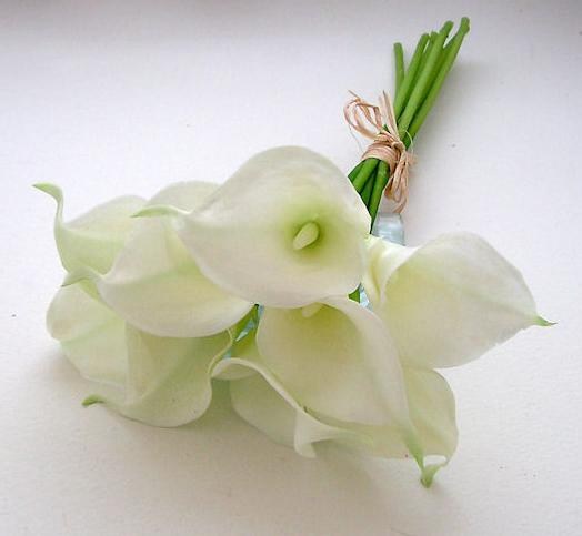 Mary Ostby Obituary - Terre Haute, IN