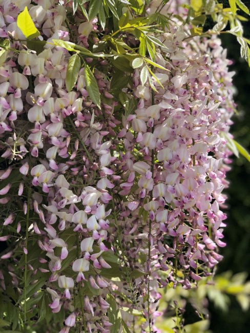 Obituary of Timothy Alan Martini