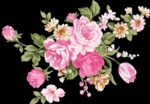 Claire Wilson