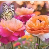 Obituary of Wendy Allison Jones
