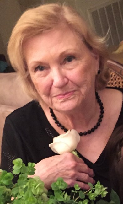 Obituary of Audrey Chloe Dlugosz