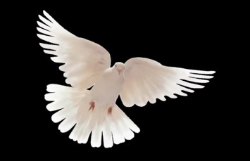 Obituary of Rudy L. Hernandez