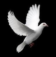 Obituary of Teresa Jean Ferrel