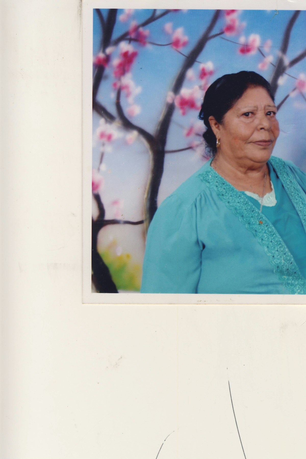 Obituary of Luisa Alvarez de Lopez