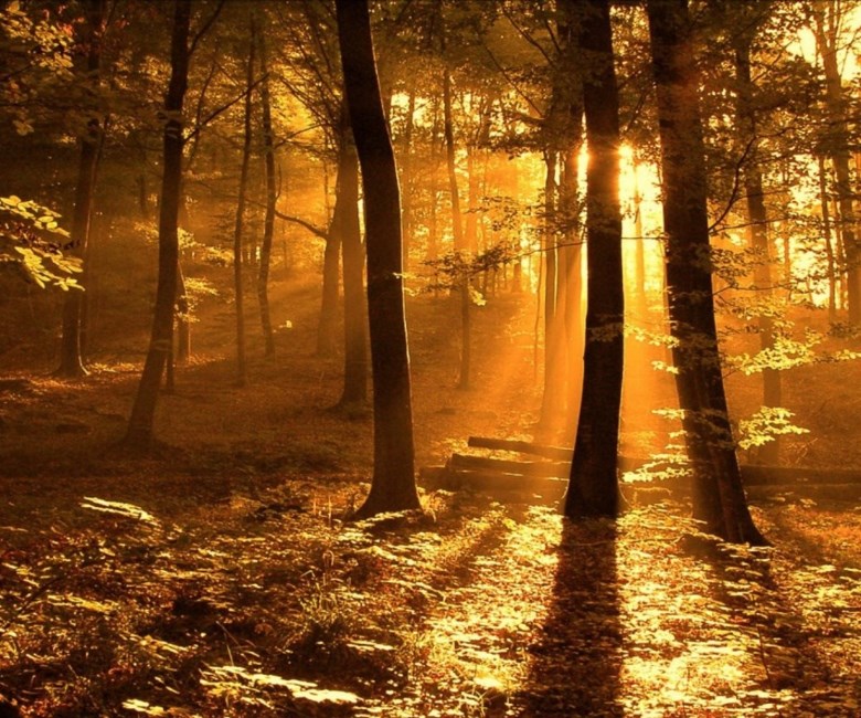 Obituary of Daniel Joseph Egan Jr.