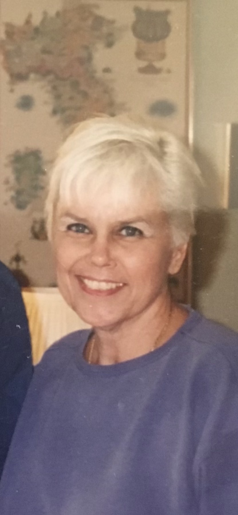 Obituary of Barbara "Bobbie" Ann Porcaro